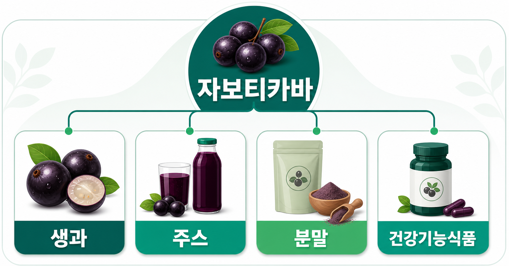 먼저 구분할 것